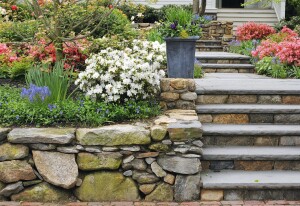 Exterior Concrete Step Design Tips