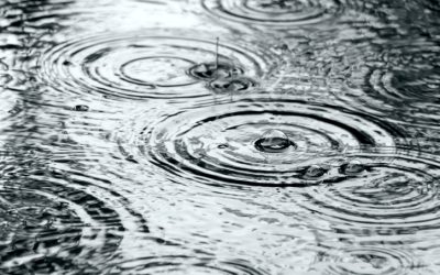 6 Causes of Standing Puddles on Asphalt