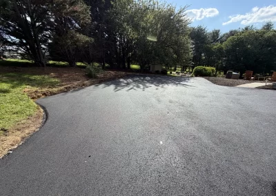 A newly paved asphalt driveway curves into a shaded area with trees and grass on both sides.