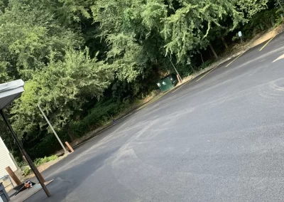 Freshly paved empty parking lot bordered by dense green trees, with yellow lines on the asphalt.