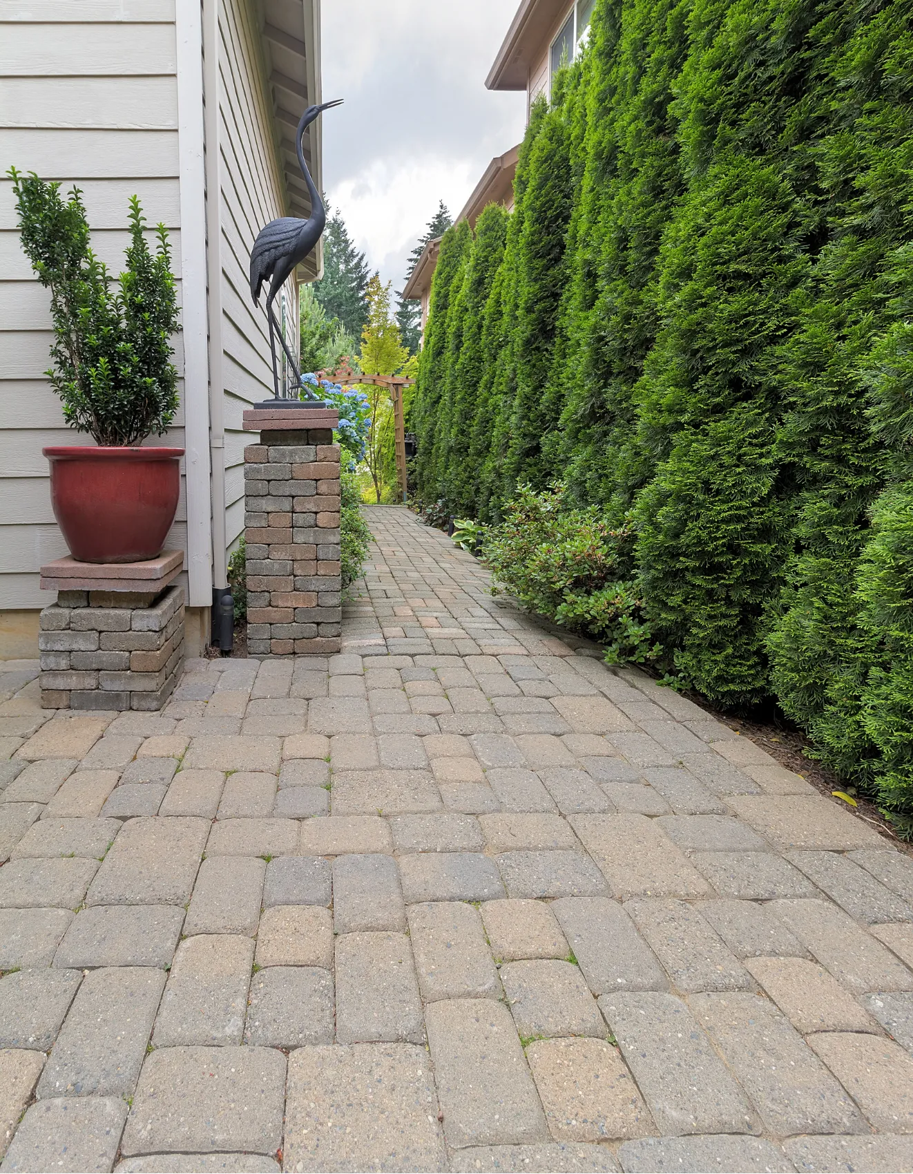 Brick walkway beside a house lined with tall green hedges and a metal bird sculpture on a brick stand.