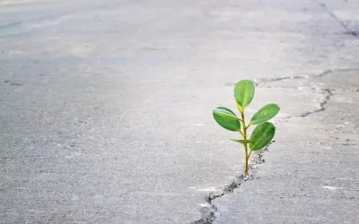 Schedule Asphalt Repairs This Spring!