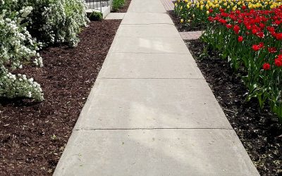 How Soon Can You Use Your Delaware Concrete Pavement After Drying?